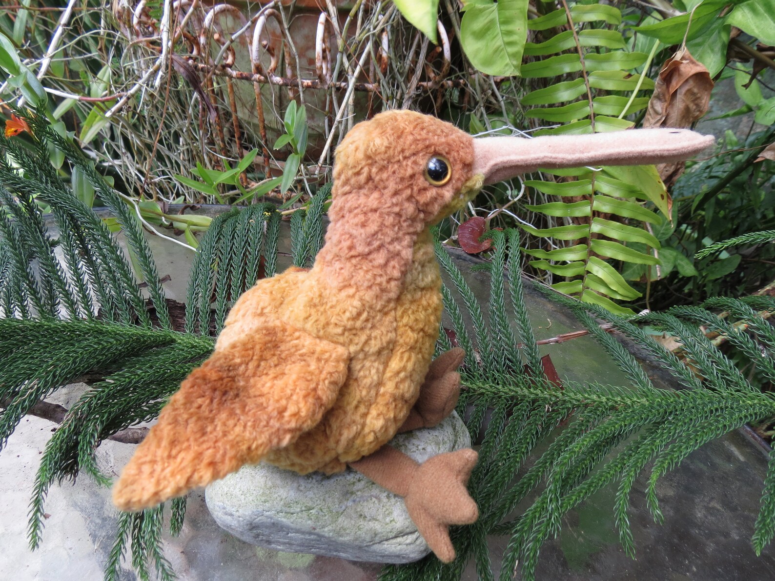 TY Beak Beanie Baby Kiwi Bird Vintage Plush - Etsy.de