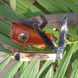 Case XX 2 Blade Stag Handle Knife - USA Folding Pocket Knife - Custom Leather Sheath - Excellent Condition