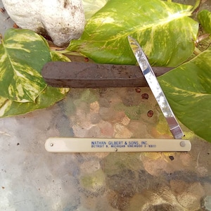 May include: A vintage, folding straight razor with a silver blade and a cream-colored handle. The handle is imprinted with the text "NATHAN GILBERT & SONS, INC. DETROIT 9, MICHIGAN VINEWOOD 3-9300". The razor is resting on a glass surface with green and yellow leaves.