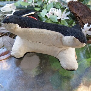 May include: A handmade stuffed toy shaped like an orca whale. The toy is primarily black and off-white, with red stitching details. The orca is resting on a glass surface, with foliage in the background.
