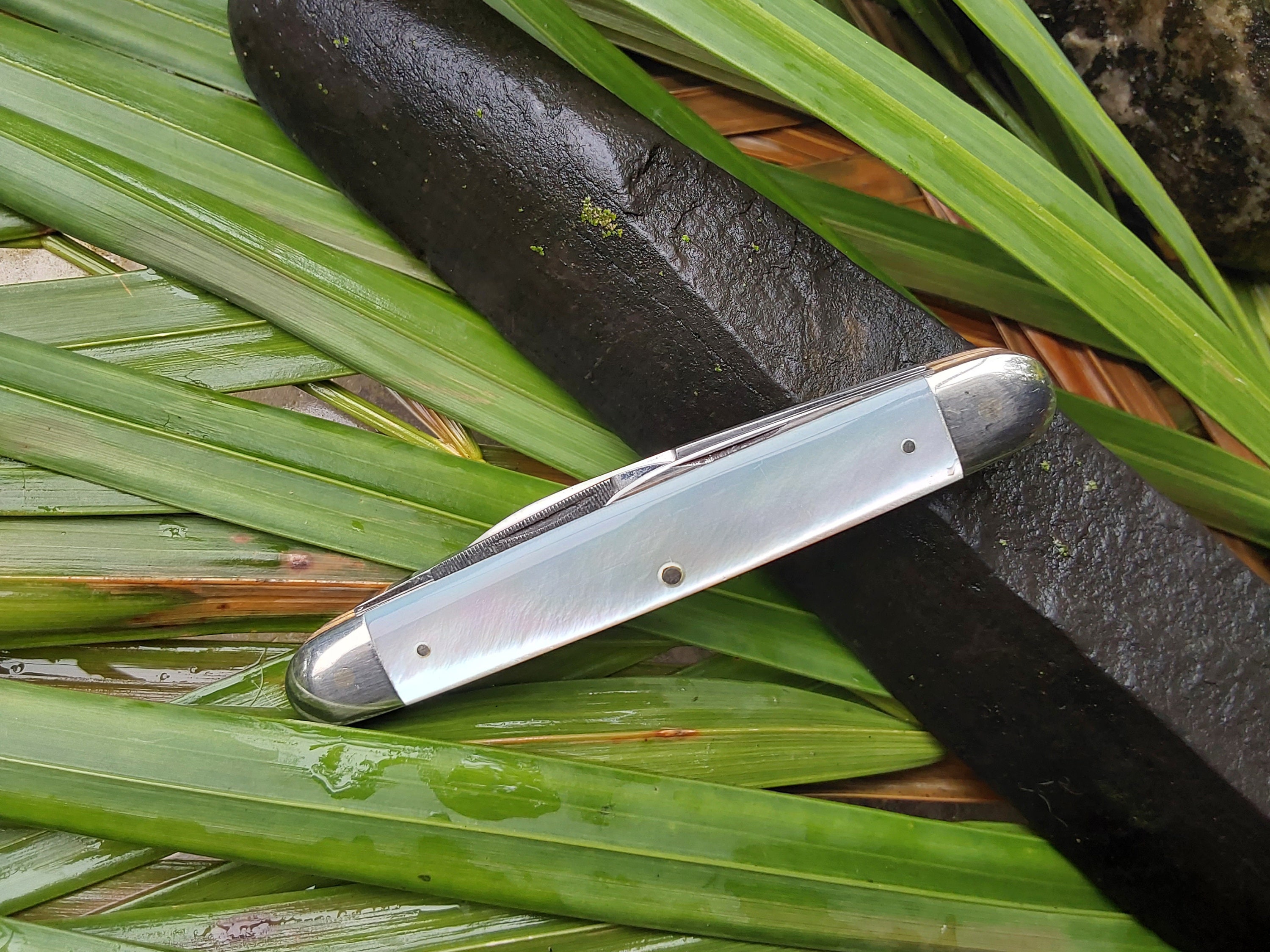 古いドイツ·ゾーリンゲン製ナイフ名門E BRUCKMANN MANNアンティーク Mann E. Bruckmann Mother of Pearl Knife: Solingen Germany, 3