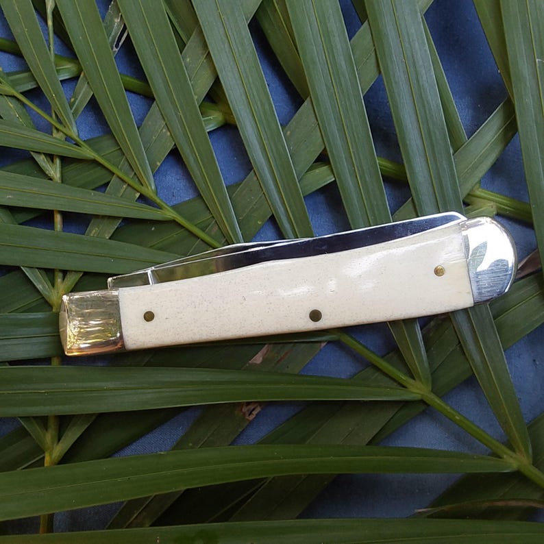 May include: A white bone handled pocket knife with a silver blade and brass accents. The knife is closed and lying on a bed of green palm leaves.