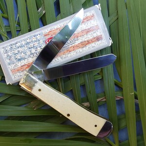 May include: A white handled pocket knife with a stainless steel blade, open and ready to use. The knife is sitting on a bed of green palm leaves. The knife has a brass pin and a brass bolster. The knife is in a box with an American flag design and the text "W.R. Case & Sons Cutlery Co. Case.com".