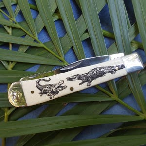 May include: A pocket knife with a white handle featuring two alligator designs. The knife is closed and has a silver blade.
