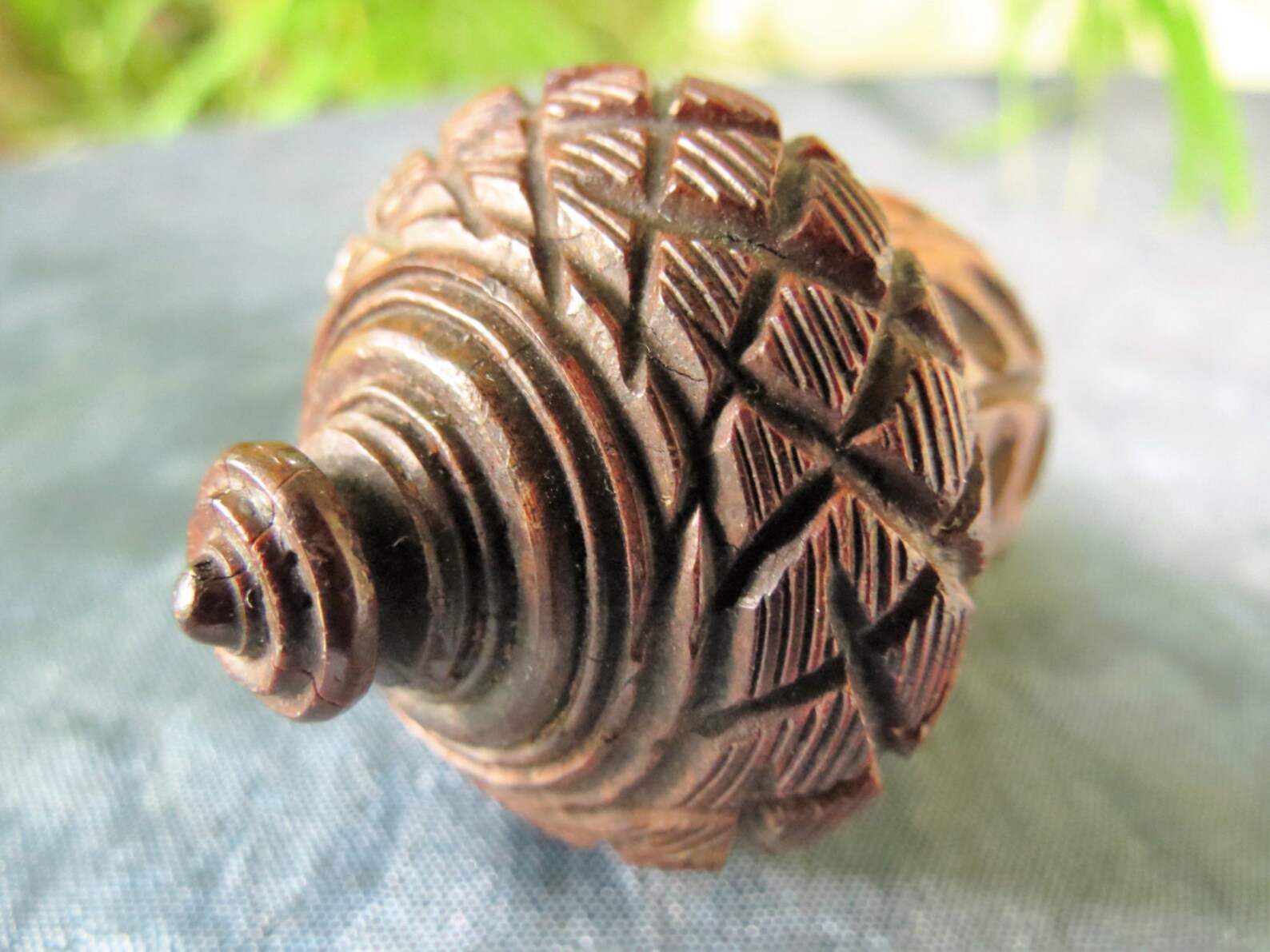 Early Victorian Nutmeg Grater Carved Wood Acorn Antique Etsy