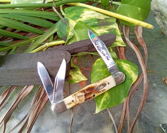 Case XX Whittler Knife: Bone Stag Folding Pocket Knife