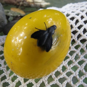 Pu&ograve; includere: Un uovo di Pasqua giallo con una mosca nera sopra. L'uovo &egrave; su una superficie di uncinetto bianca.