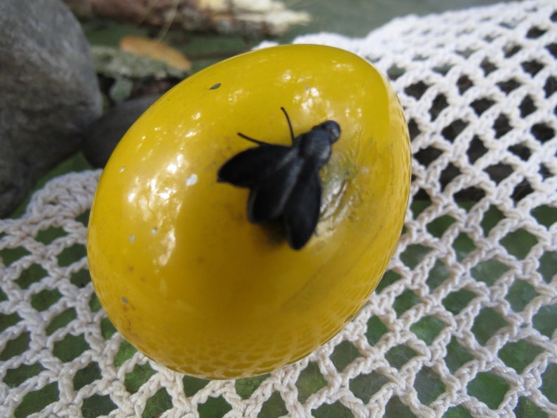 Pu&ograve; includere: Un uovo di Pasqua giallo con una mosca nera sopra. L'uovo &egrave; su una superficie di uncinetto bianca.