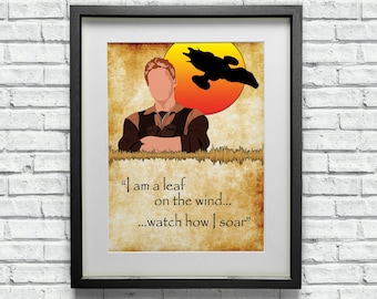 Firefly Serenity Art Print: Wash Soundwave, Minimalist Sci-Fi TV Poster