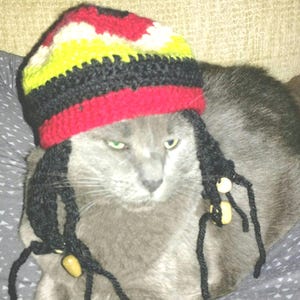 Cat or dog Hat/Wig--rastafarian bob marley rasta dreadlocks hat with wooden beads