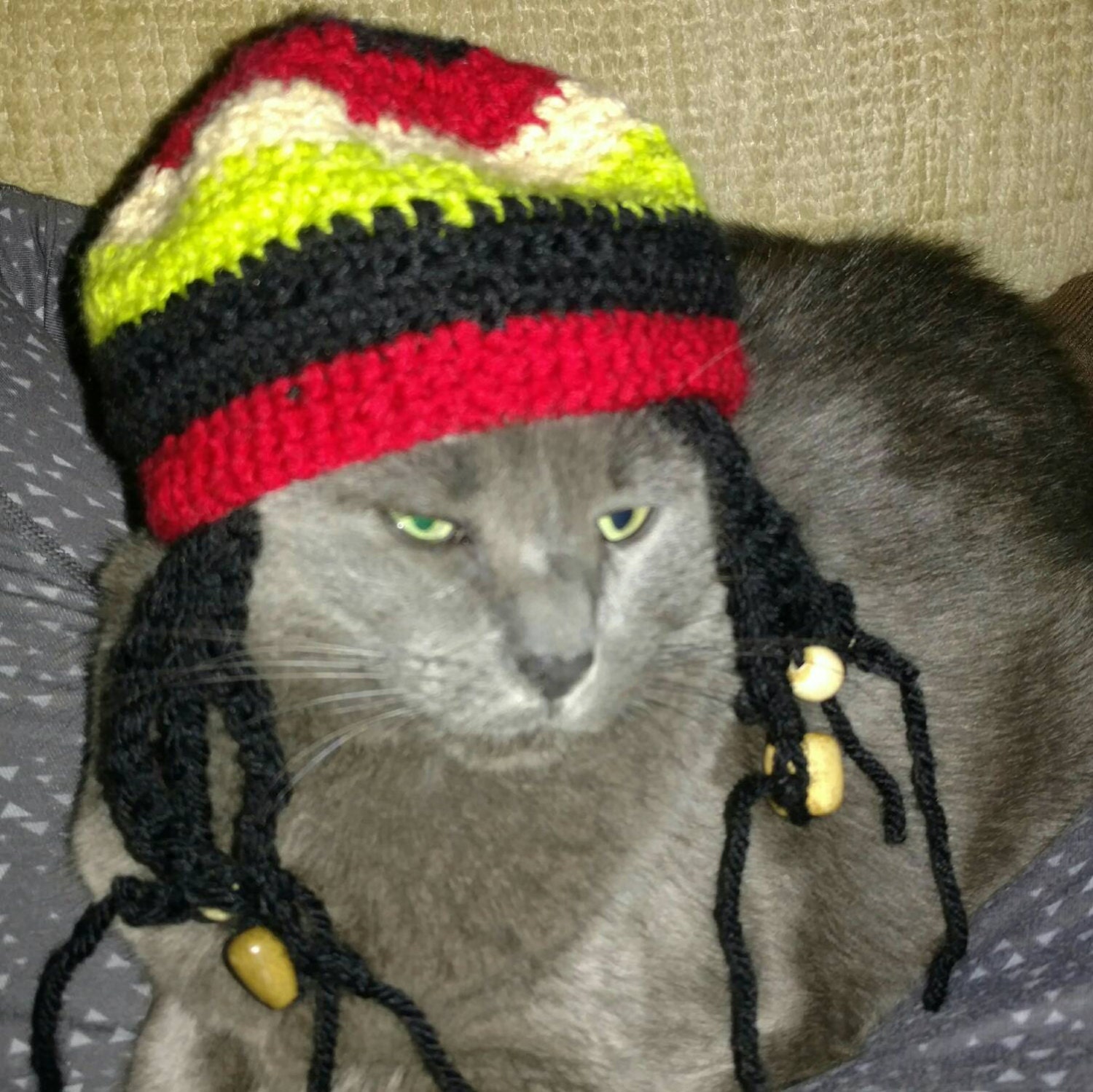 Chapeau De Chat Ou De Chien Wigrastafarian Bob Marley Rasta Etsy Chapeau De Chat Ou De Chien Wigrastafarian Bob Marley Rasta Etsy