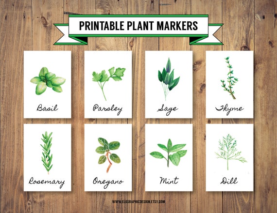 Printable DIY Herb Plant Markers 8 Designs 3.5 X 5 PDF | Etsy