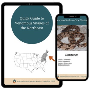 Venomous Snakes of the Northeast, Digital Guide, Printable - Etsy