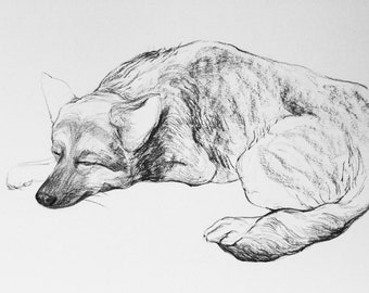 Animal Artists - Etsy UK Animal Artists - Etsy UK