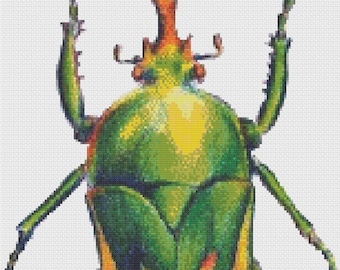 Beetle Cross Stitch Pattern 1