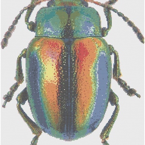 May include: A cross-stitch pattern of a beetle featuring a vibrant iridescent color palette. The insect displays a central black stripe flanked by gradients of metallic green, orange, and blue hues, with detailed segmented legs and antennae.