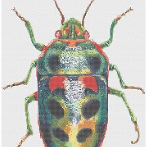 May include: A green, red, and yellow bug with black spots and long antennae. The bug has a detailed, mosaic-like pattern.