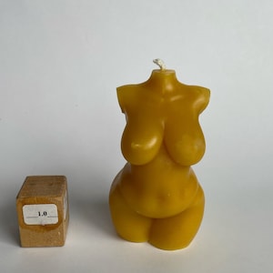 Voluptuous goddess bust