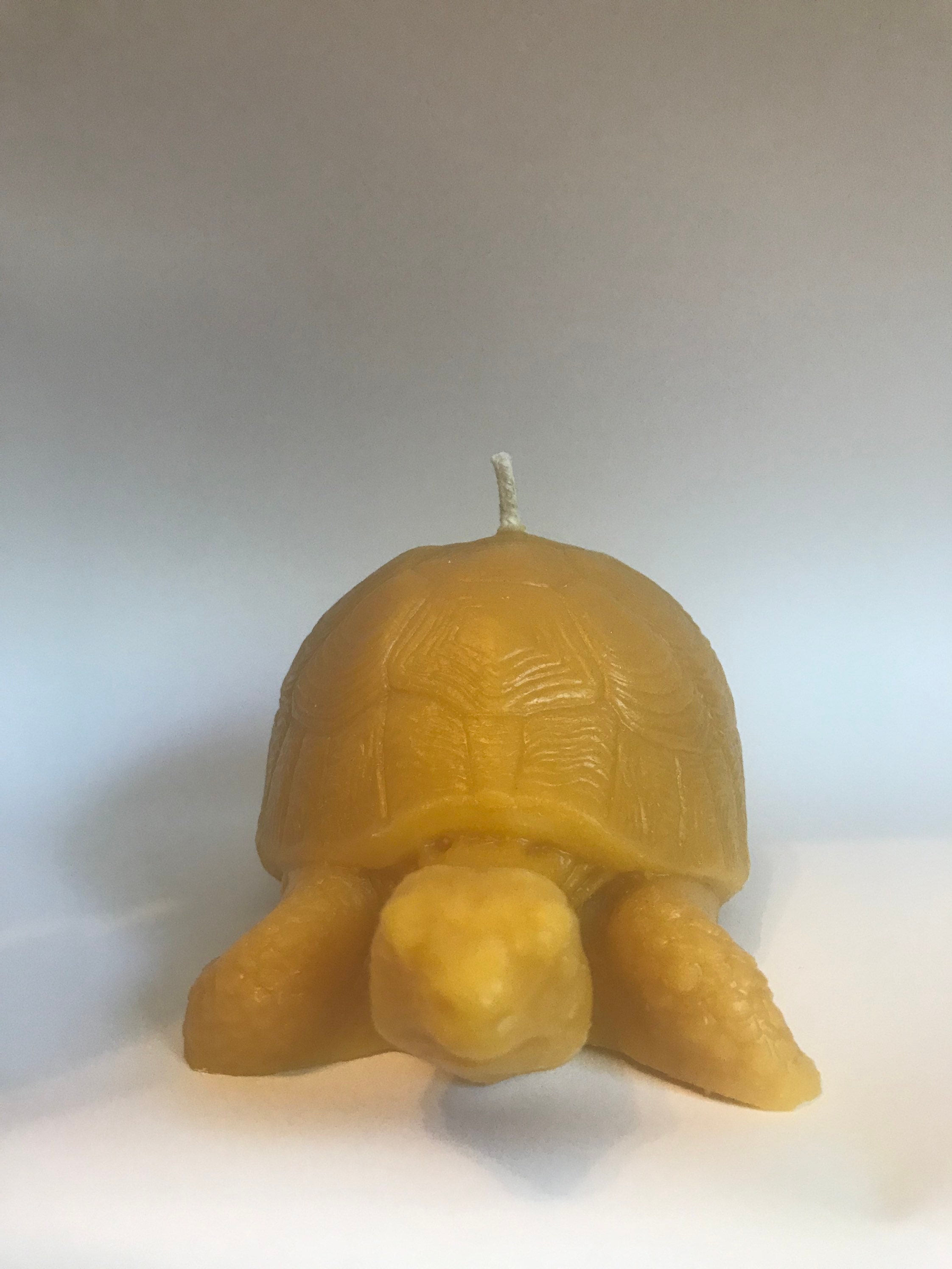 Tortoise Beeswax Candle- Large - Etsy