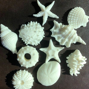 Sea shell hand soap set (10 small soaps)