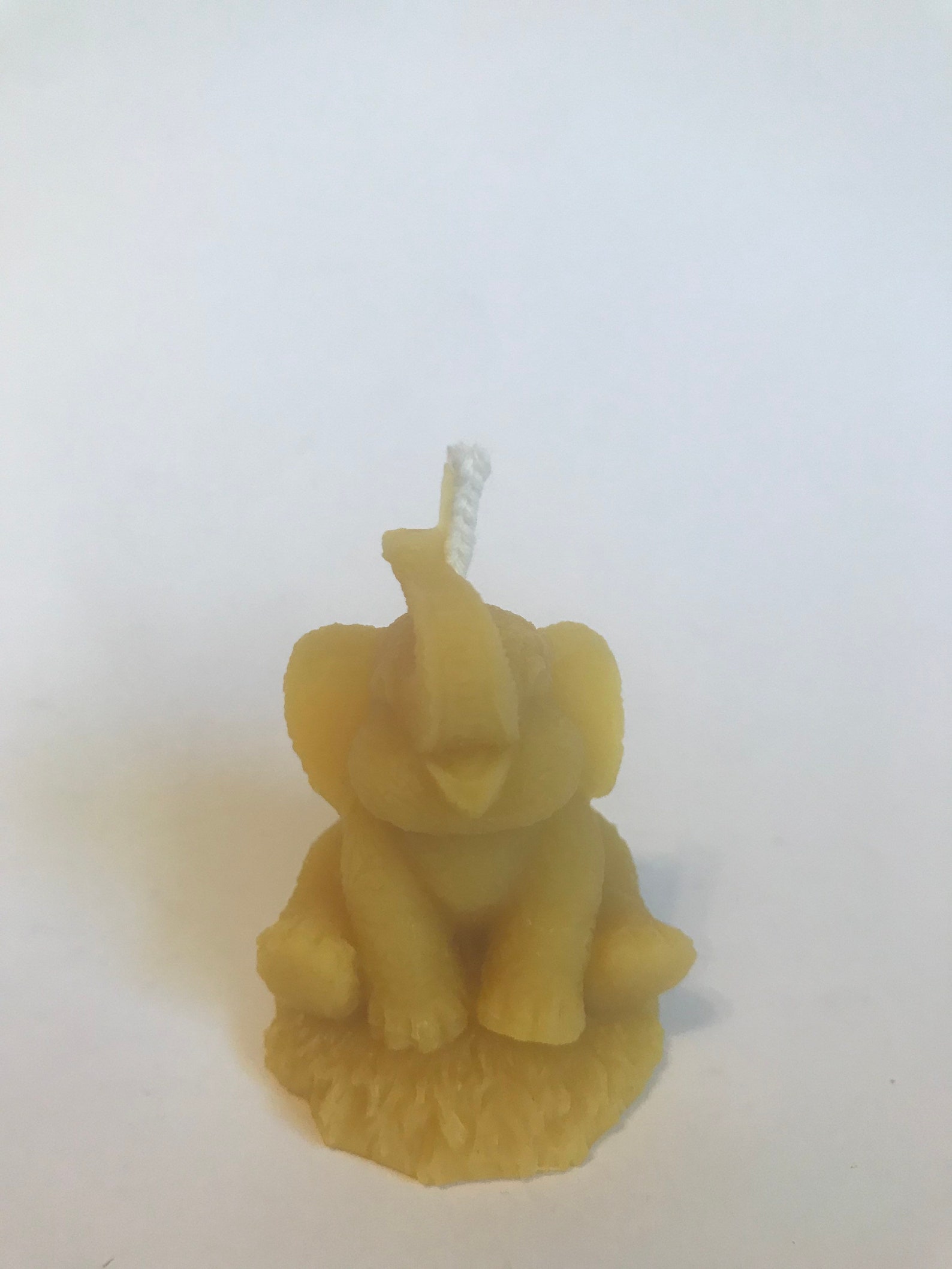 Elephant Candle Etsy