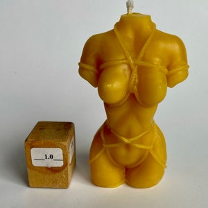 Shibari bust