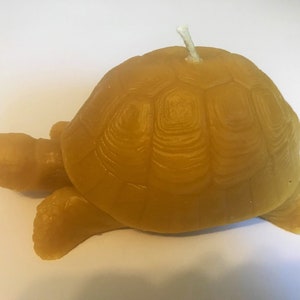 May include: A yellow beeswax turtle candle with a white wick. The candle is shaped like a turtle with a detailed shell.