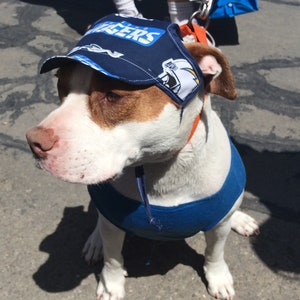 Dog Hat - Kansas City Royals Sports Fabric image 6