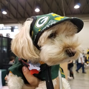 May include: A small, white dog wearing a green and yellow baseball cap with the letter "G" on it. The dog is wearing a green and yellow jersey with a bone-shaped tag.