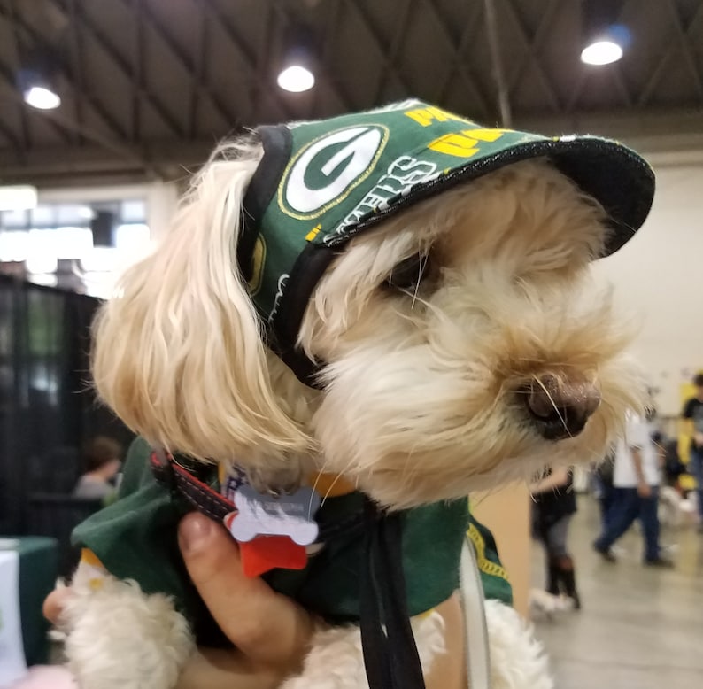 May include: A small, white dog wearing a green and yellow baseball cap with the letter "G" on it. The dog is wearing a green and yellow jersey with a bone-shaped tag.