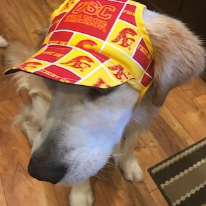 May include: A golden retriever dog wearing a yellow and red baseball cap with the text "USC Trojans" and "Fight On" repeated on the cap.