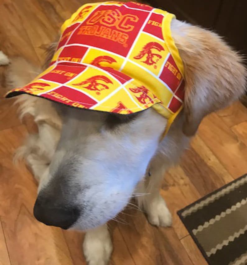May include: A golden retriever dog wearing a yellow and red baseball cap with the text "USC Trojans" and "Fight On" repeated on the cap.