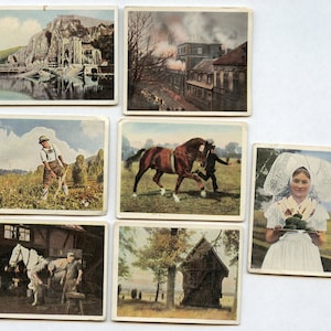 German Tobacco Cards 7 Different cards from 1914 and 1936