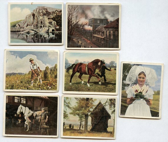 German Tobacco Cards 7 Different Cards From 1914 and 1936