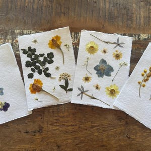 Cartões de felicitações com flores prensadas à mão (conjunto de 4) | Papel 100% algodão reciclado