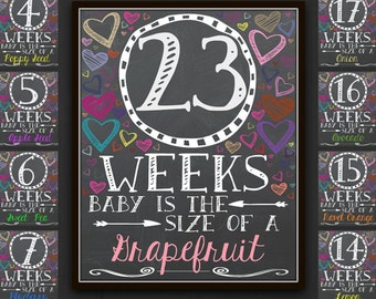 Chalkboard Rainbow Weekly Pregnancy Signs, Pregnancy Signs, Pregnancy Chalkboard, Weekly Pregnancy, Pregnancy Photo Prop, Pregnancy Gift