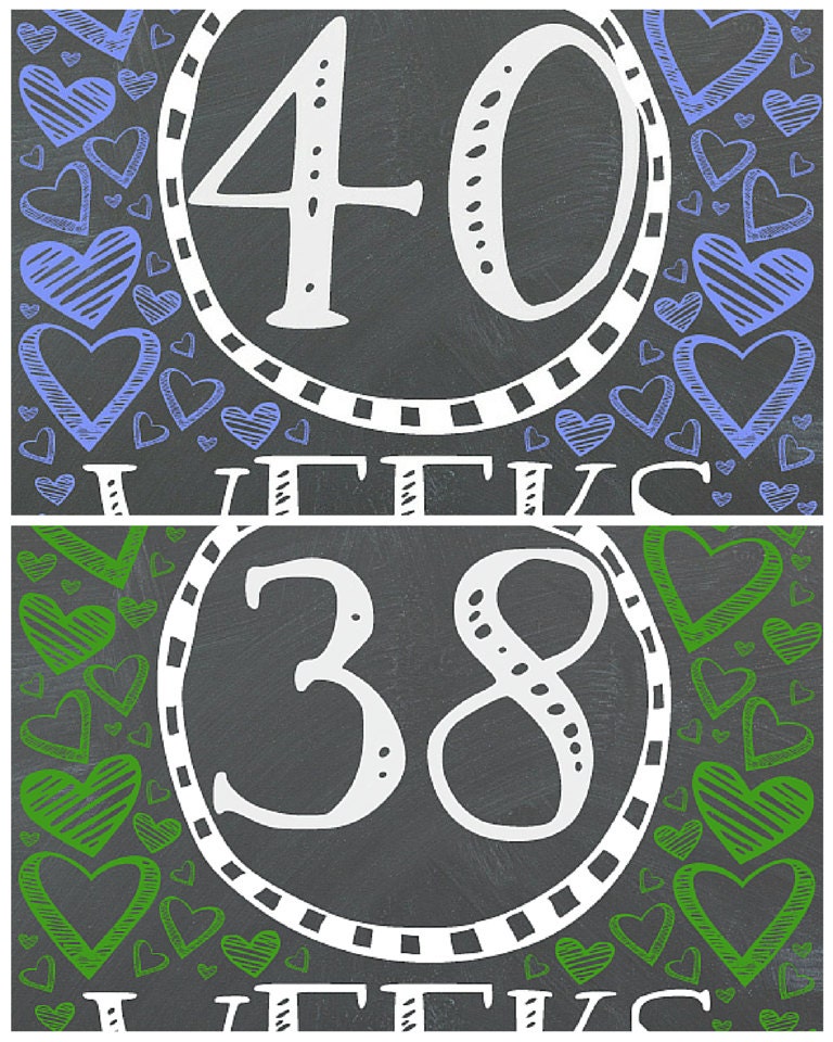 Chalkboard Bi Weekly Pregnancy Signs, Pregnancy Signs, Biweekly ...