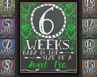 Weekly Pregnancy Chalkboard Sign Prints, Baby Size Milestone (Digital Download)