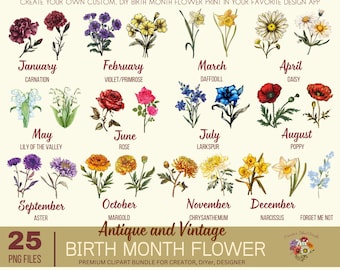 Paquete de imágenes prediseñadas de flores del mes de nacimiento: archivos PNG florales vintage (descarga digital)
