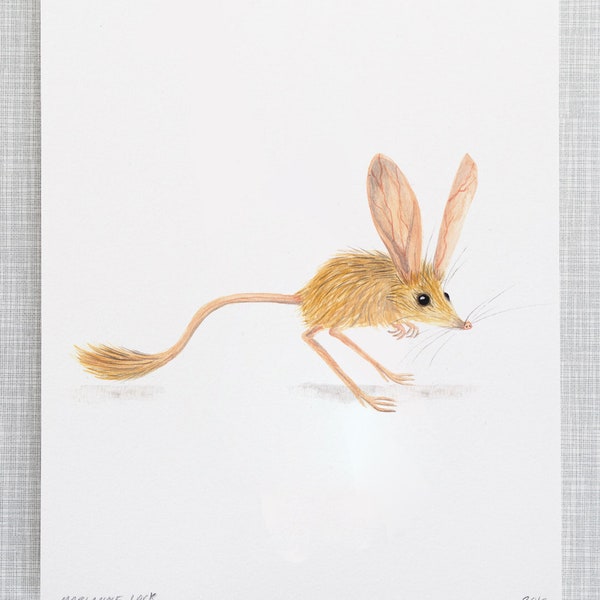 Jerboa Animal Print format A4