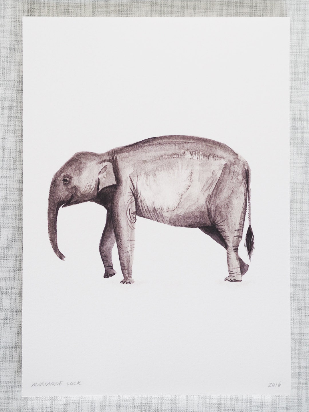 j1 elephant print