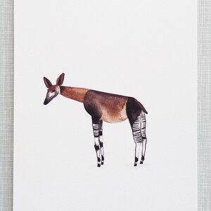 Okapi Animal Print A4 size