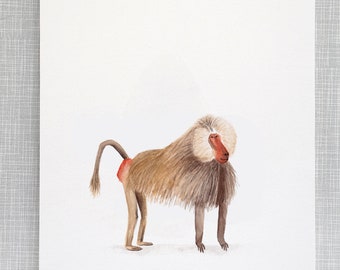 Baboon Animal Print A4 size