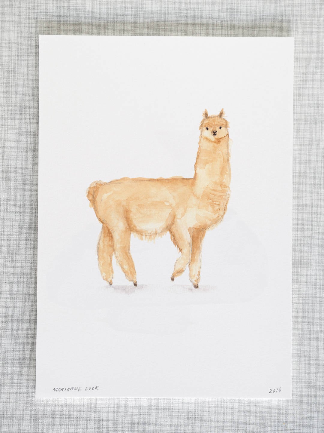 Llama Animal Print A4 Size - Etsy