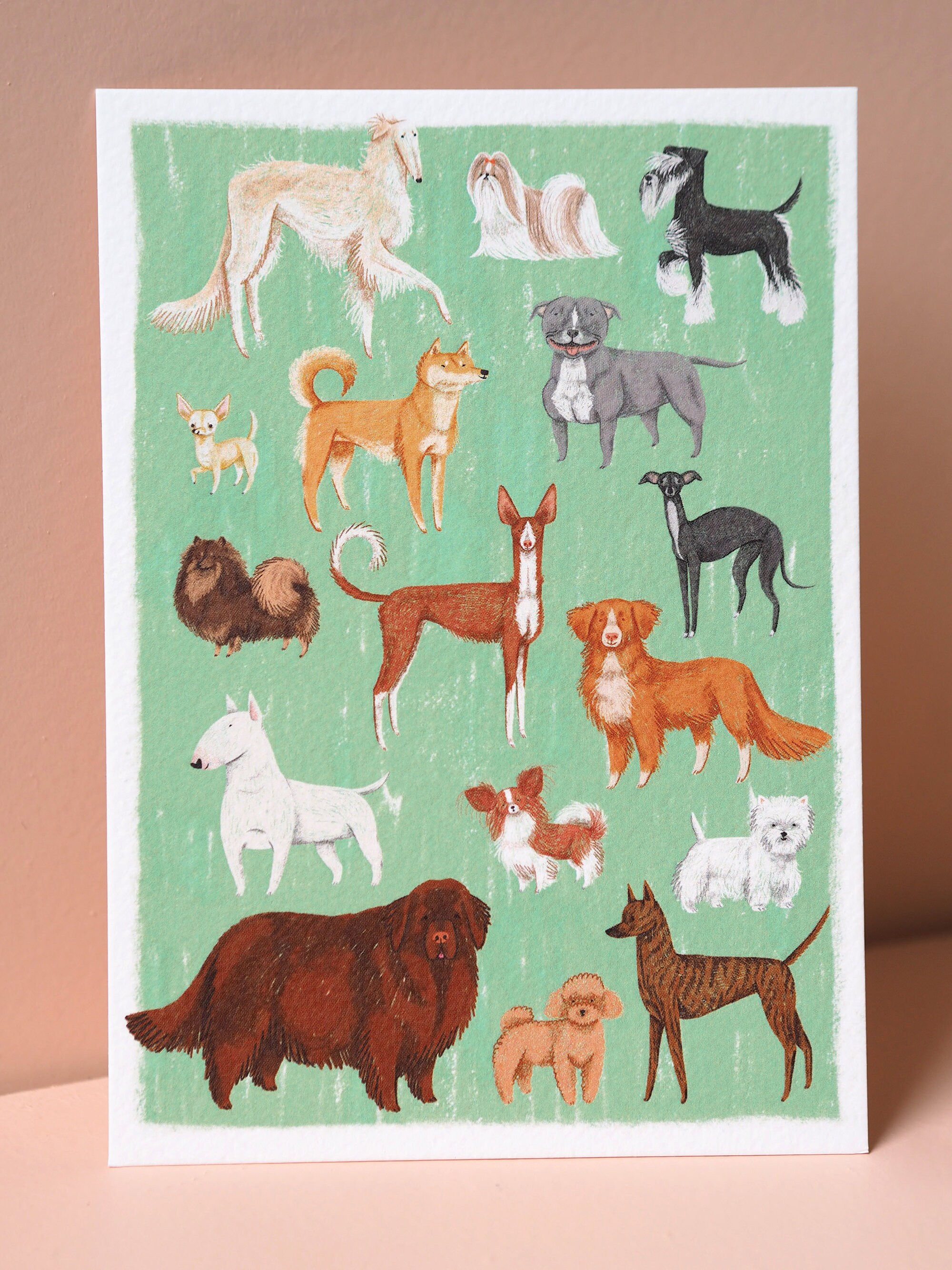 Dog Postcards 4 Different Cards With Dog Illustrations | Etsy