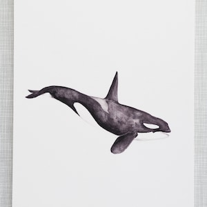 Orca Animal Print A4 size