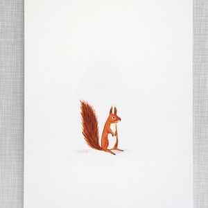 Estampa de animal de esquilo tamanho A4