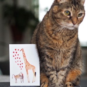 Animal Postcard with Bear x Hare or Giraffe x Baboon image 6