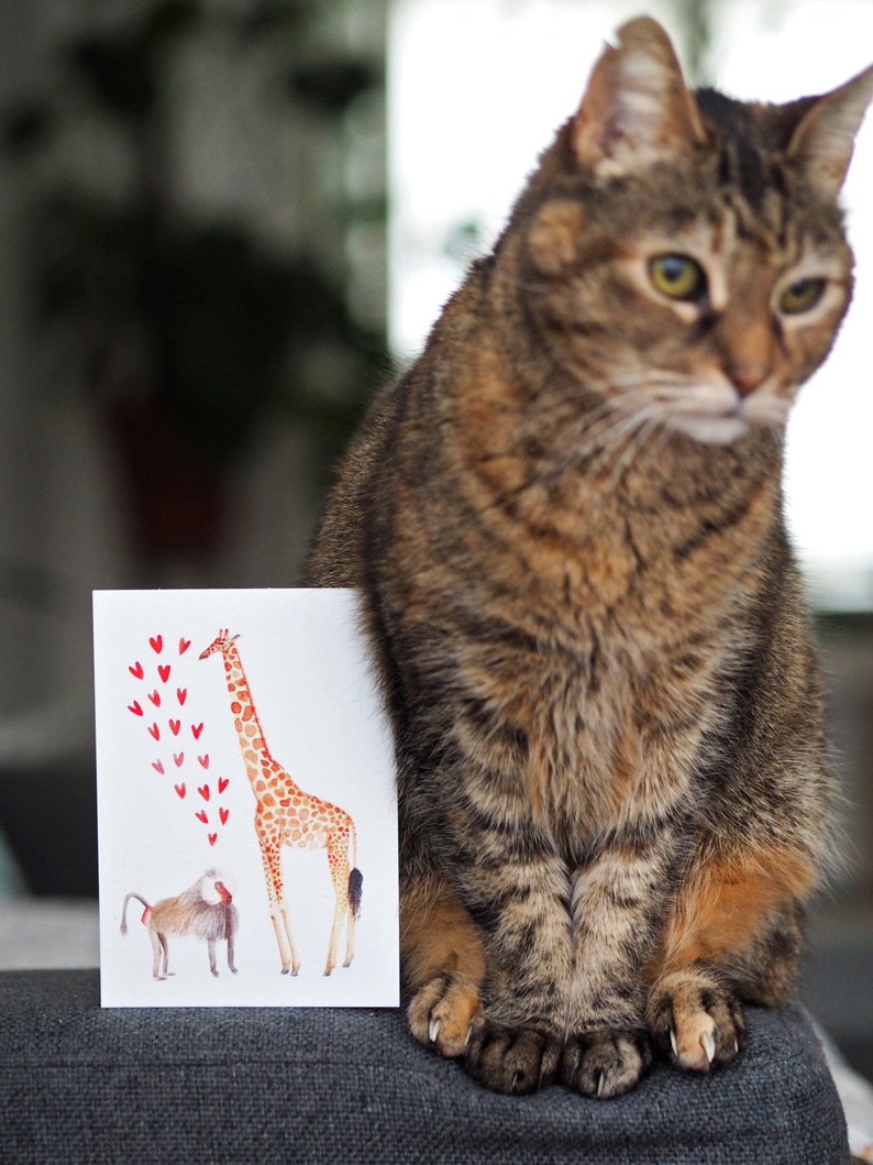 Animal Postcard with Bear x Hare or Giraffe x Baboon image 6