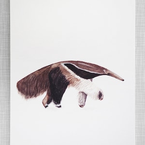 Anteater Animal Print A4 size